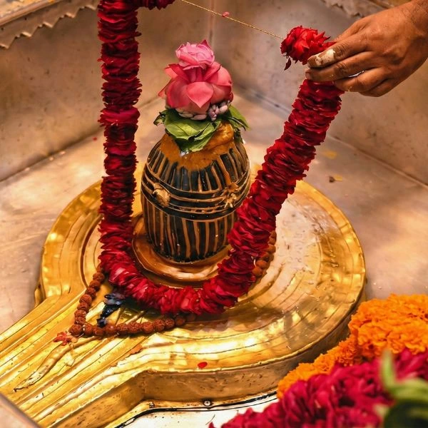 Kashi Vishwanath — the uncomfortable truth behind temple prasadam